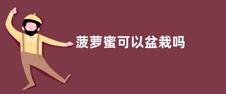 菠萝蜜可以盆栽吗