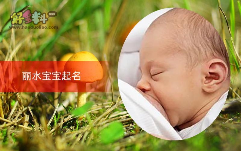 丽水宝宝起名 27年起名经验 国学起名新势力