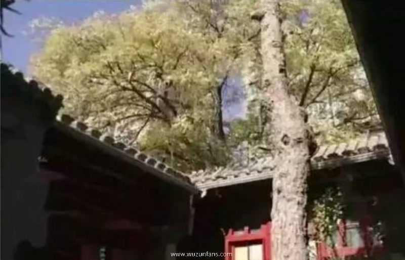 李晨家的四合院在哪里  这套四合院距离天安门只有十分钟