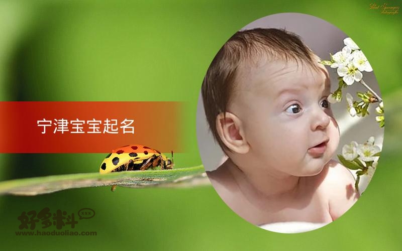 宁津宝宝起名 25年起名经验 国学起名新势力