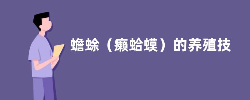 蟾蜍（癞蛤蟆）的养殖技术，如何喂食