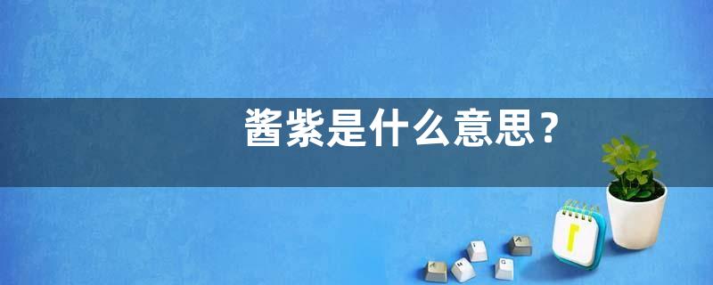 酱紫是什么意思？