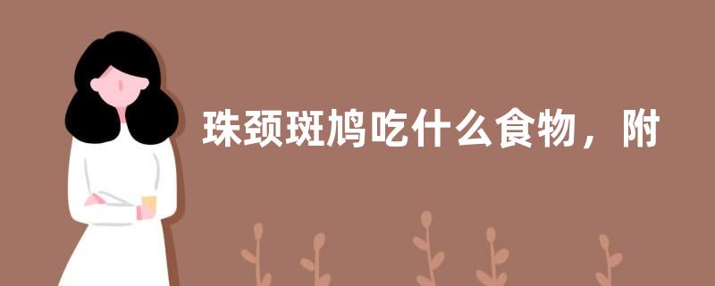 珠颈斑鸠吃什么食物，附生活习性和分布范围