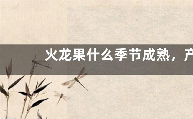 火龙果什么季节成熟，产地在哪里