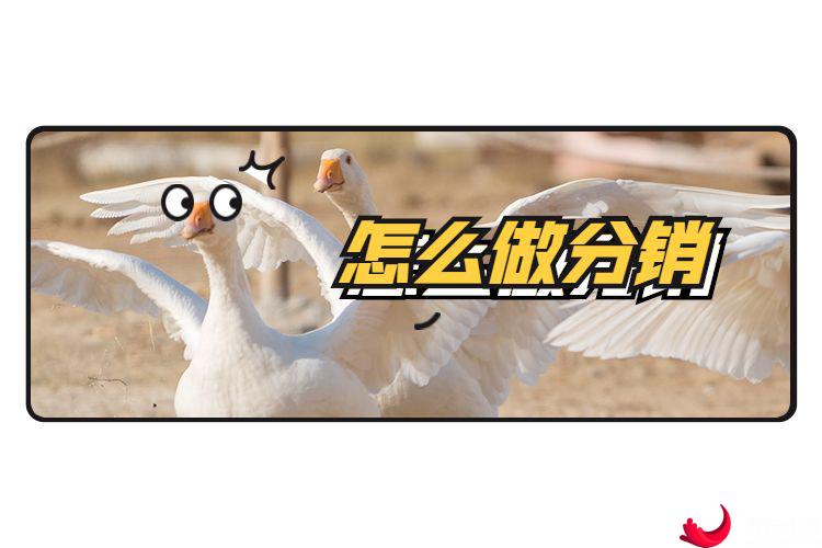 淘宝网店怎么做分销淘宝网店做分销有什么技