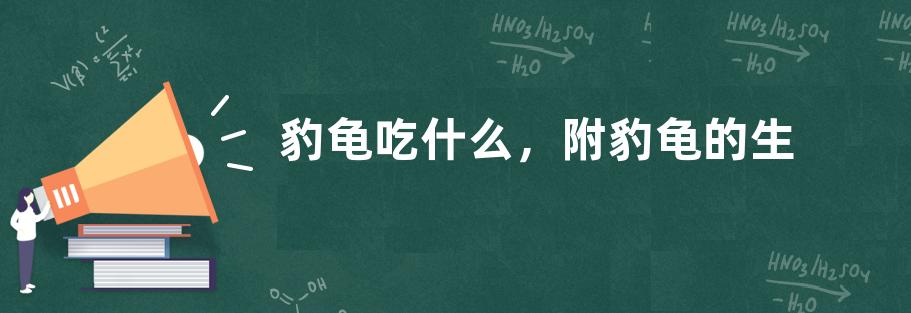 豹龟吃什么，附豹龟的生活习性与生长繁殖特点