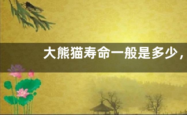 大熊猫寿命一般是多少，吃什么食物，繁殖能力强吗？
