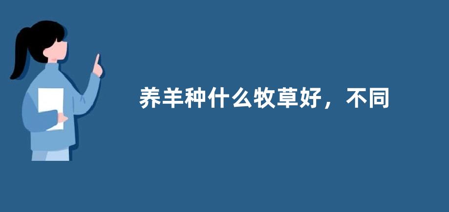 养羊种什么牧草好，不同的牧草各有优势