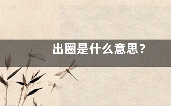 出圈是什么意思？