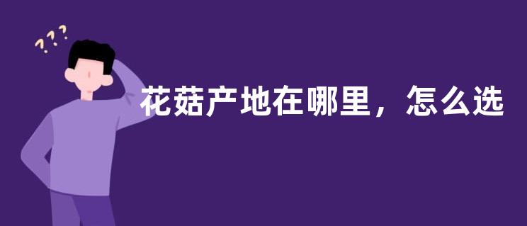 花菇产地在哪里，怎么选购