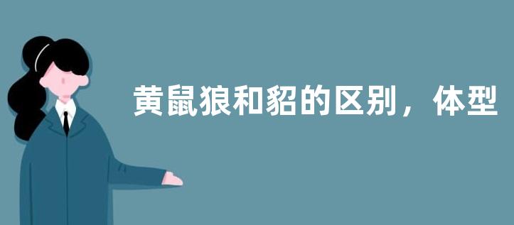 黄鼠狼和貂的区别，体型、产地和保护级别都有区别