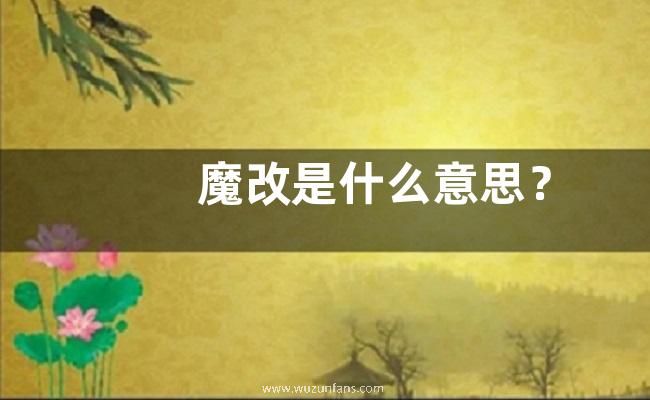 魔改是什么意思？