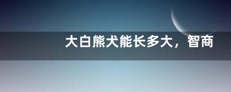 大白熊犬能长多大，智商高吗，怎么饲养
