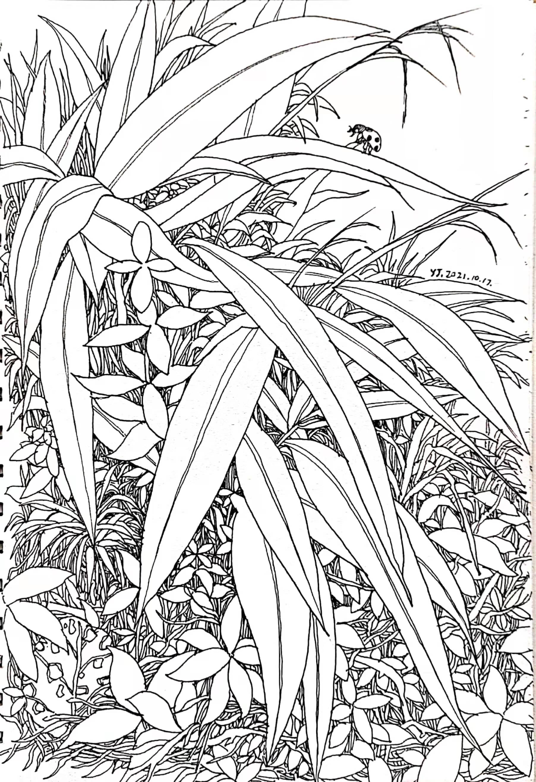 杨健微博画家(「今日头条」名家风采——​杨健 · 速写作品鉴赏)