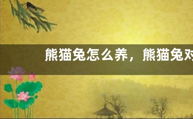 熊猫兔怎么养，熊猫兔对环境和食物要求较高