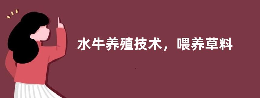 水牛养殖技术，喂养草料为主、饲料为补的原则