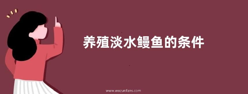 养殖淡水鳗鱼的条件