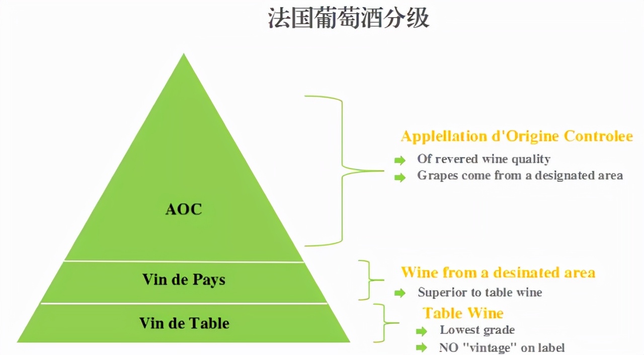 不认识这 38 个法国葡萄酒术语,都不好意思喝酒了