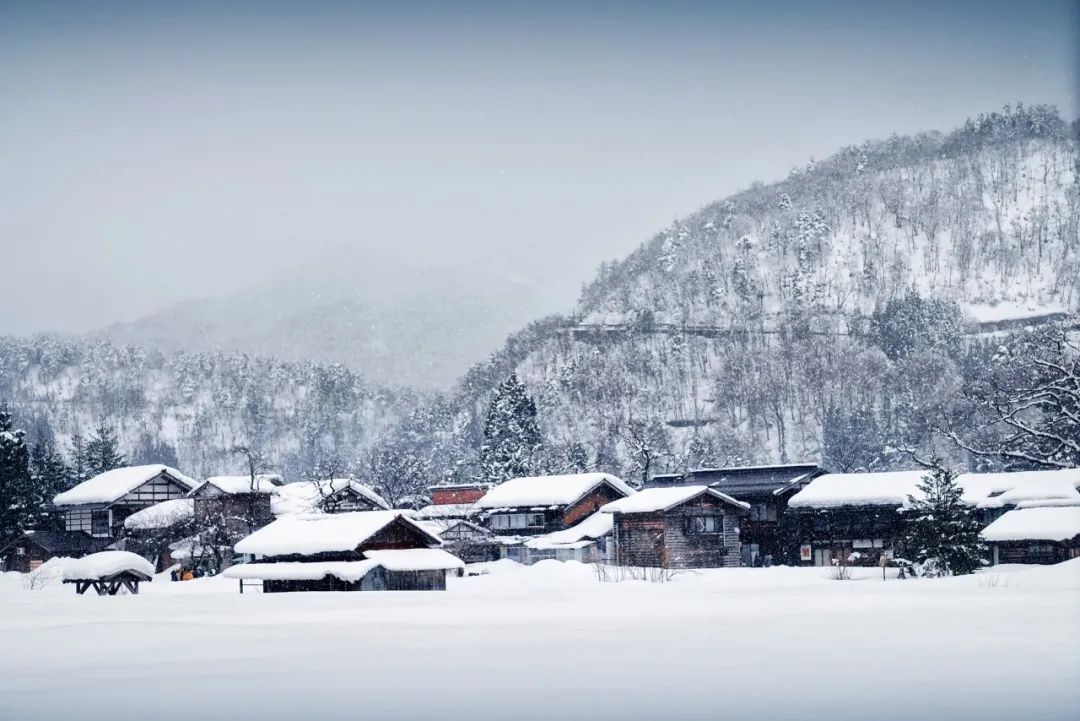 《唐诗三百首》里最经典的三首冬雪诗,唯美而温暖,治愈整个冬天