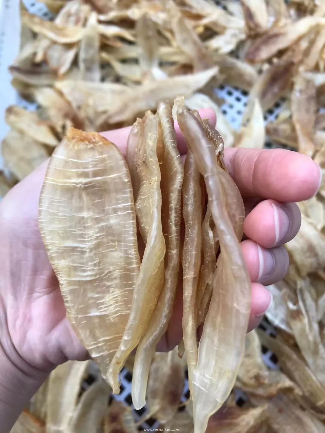 鱼胶要怎么炖才好吃(胶质多又营养)