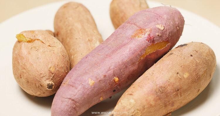 有效抗癌的食物(蒲公英是抗癌之王)