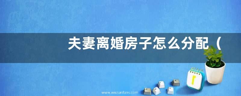 夫妻离婚房子怎么分配