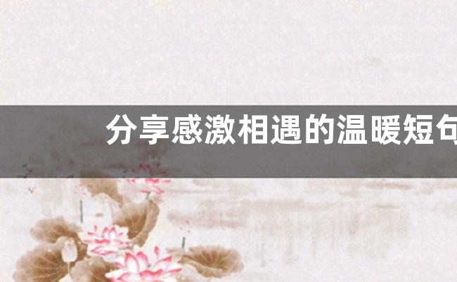 分享感激相遇的温暖短句