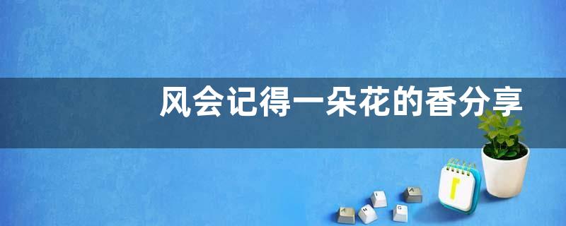 风会记得一朵花的香分享