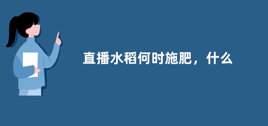 直播水稻何时施肥，什么是直播水稻