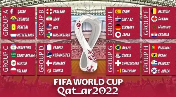 2022卡塔尔世界杯巡礼之G组