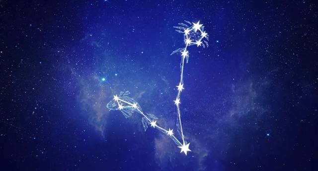 哪些星座生肖财运旺（属猴的双鱼座）