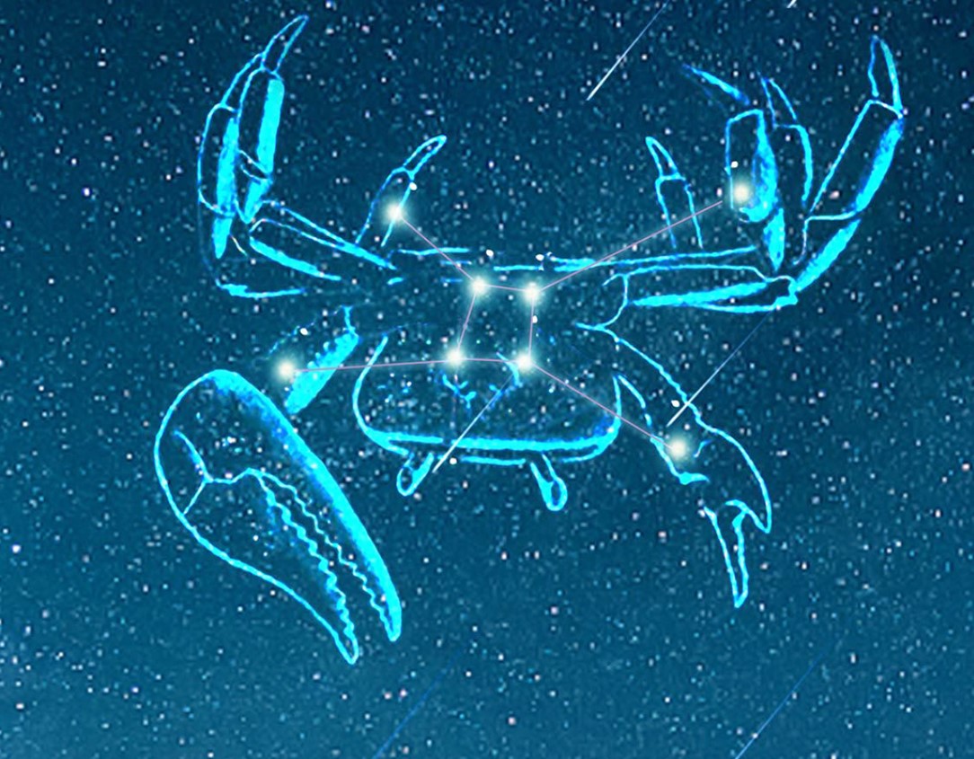 备受欢迎的星座有什么（双鱼座）
