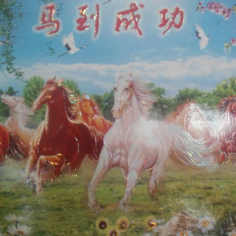 砼砼