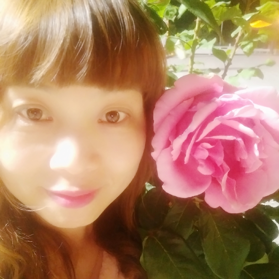 浅夏玫瑰