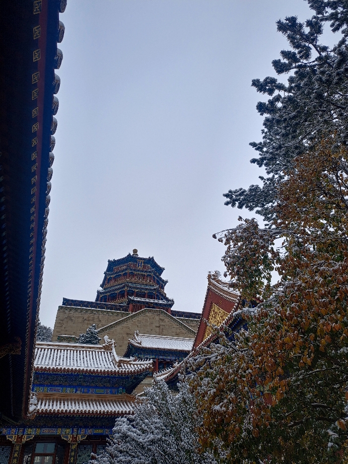 不会爱的郭盈
