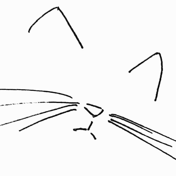 馒头不焦虑28